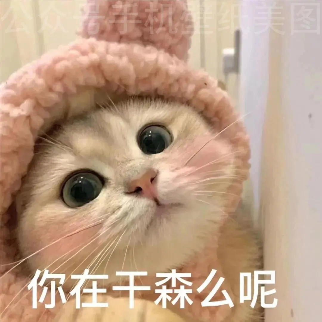 一组超好看的花朵壁纸和沙雕表情包