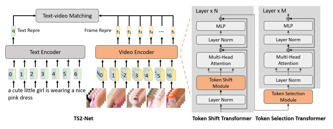 ECCV22 最新54篇论文分方向整理｜目标检测、图像分割等（附下载）