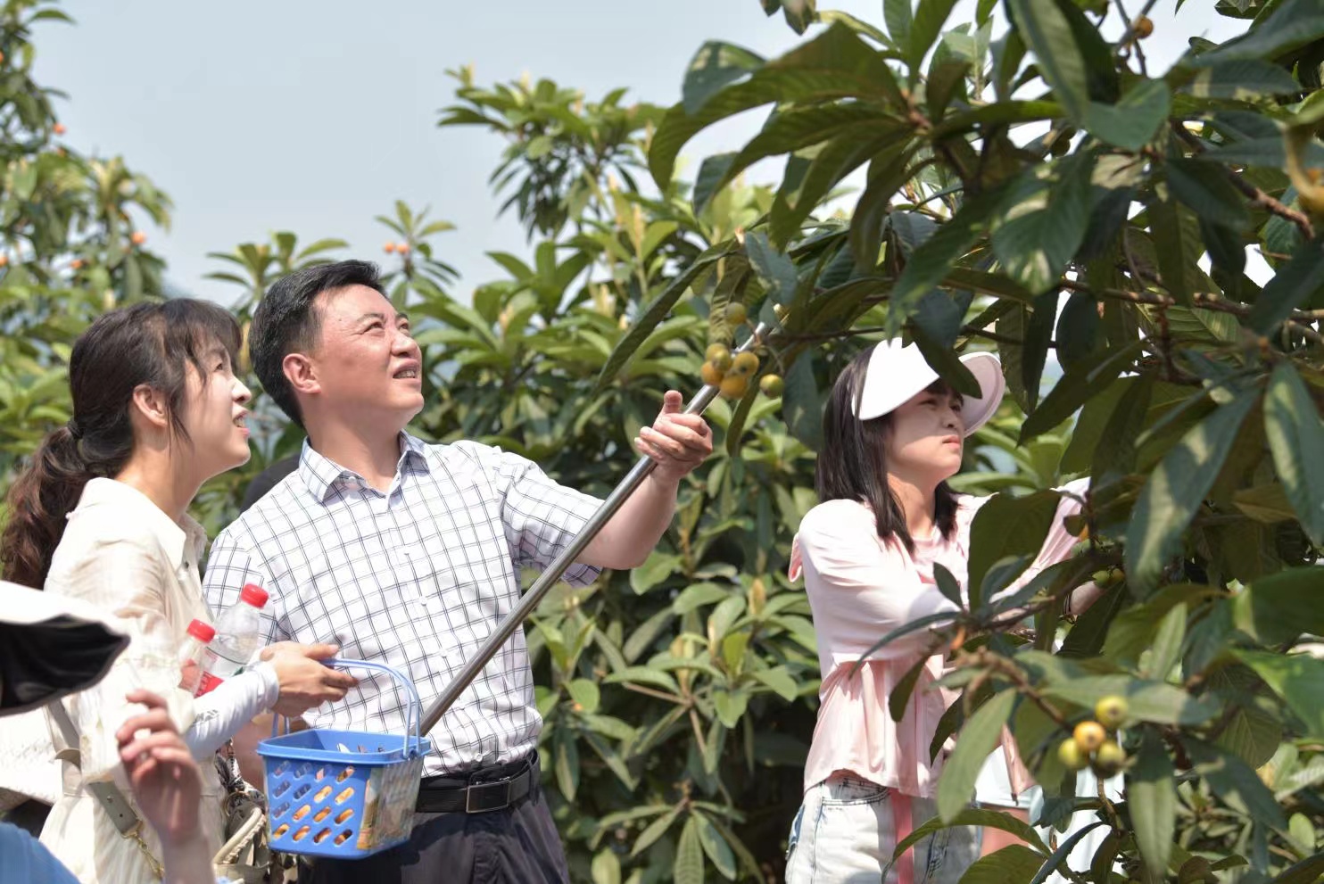 共飨艺术与文化交织的“盛宴”，重艺职院第二届枇杷艺术节开幕