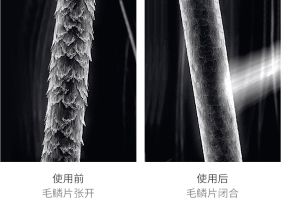 真人发也有等级之分！望摸烧用四法教你辨真假，再也不怕被坑了