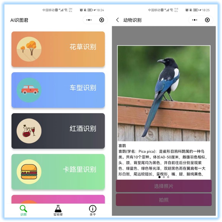 8个好用不要钱的微信小程序，个个都是精品中的精品