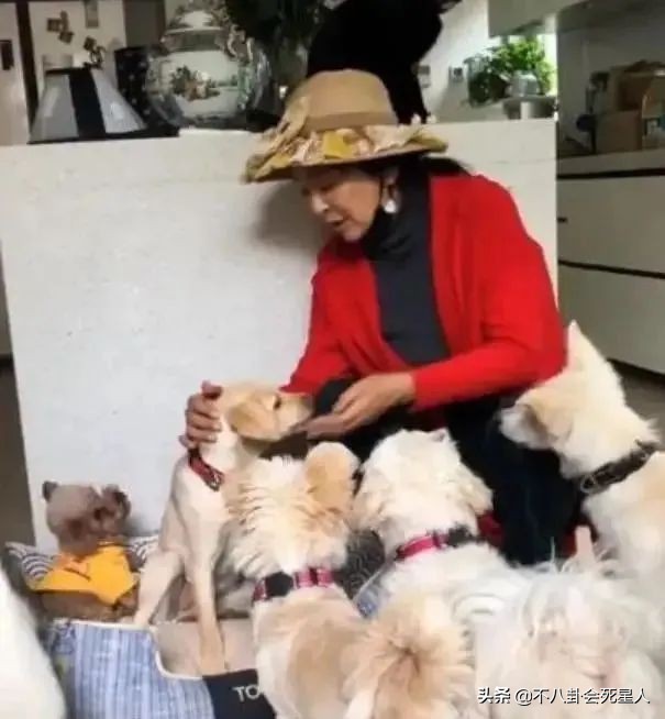 嫁了三次外国人的女明星（中国嫁给老外最成功的女人）