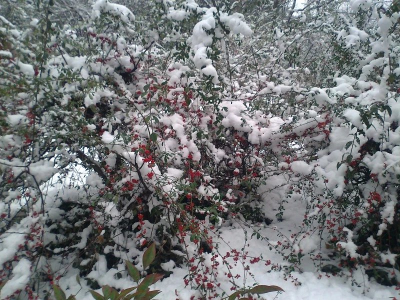 醉美西湖：春夏秋冬，雨雾晴雪，你都能看到西湖不一样的美