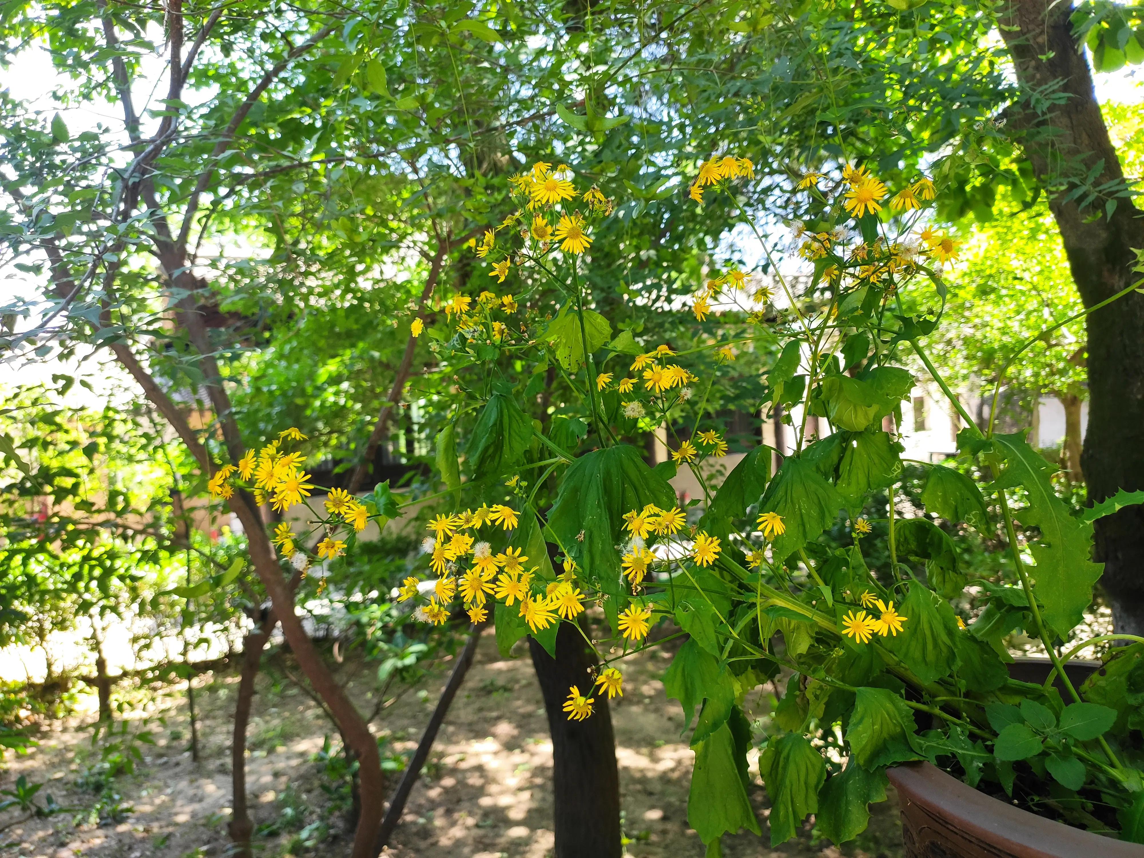 律宗祖庭·禅意浓浓——意想不到的收获