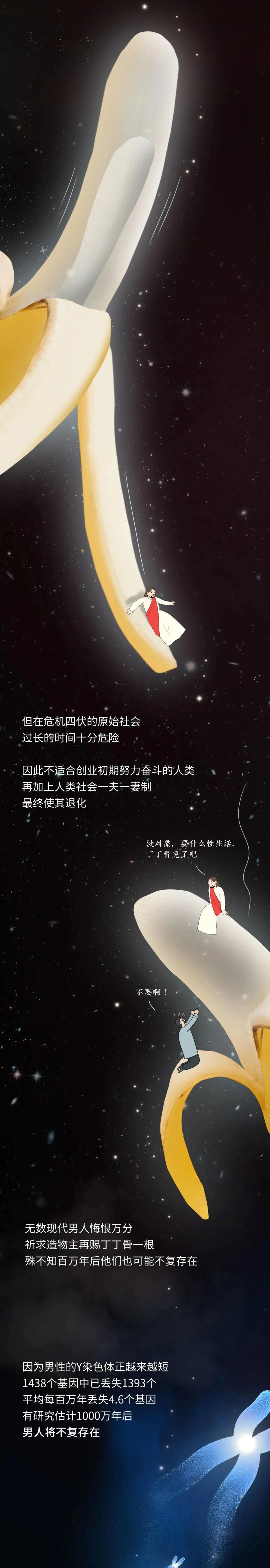 丁丁是怎么退化成今天这样的？