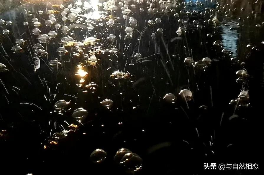 自然的启示——春夜喜雨