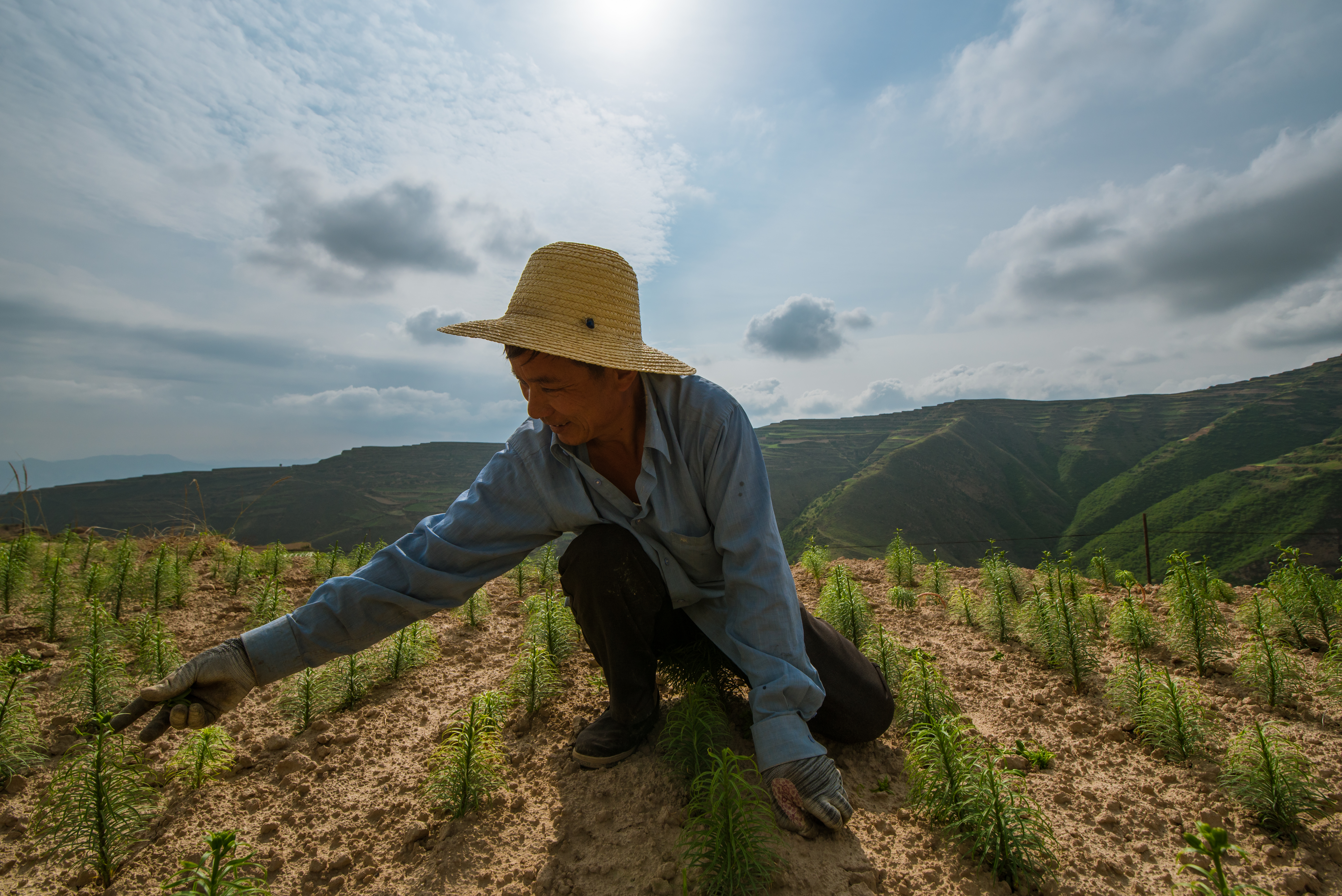 万象“耕”新，生生不息！