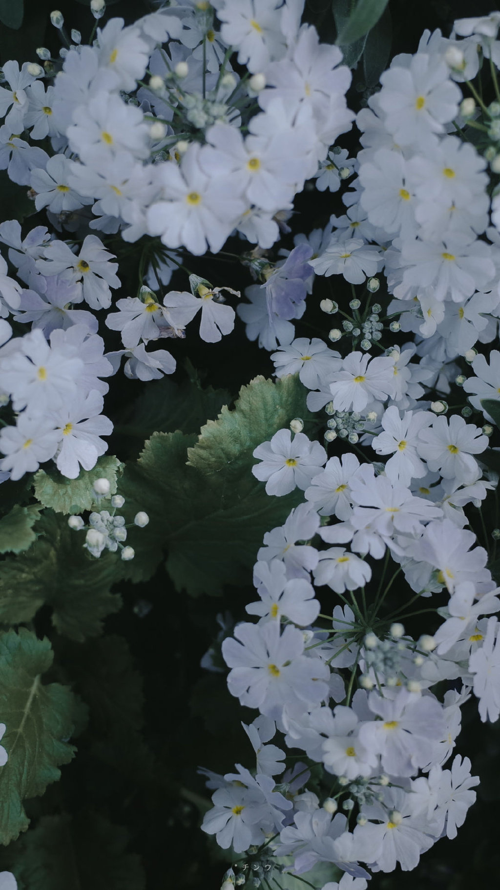 022睡前发朋友圈的晚安语录文案，对得起初心，守得住永心"