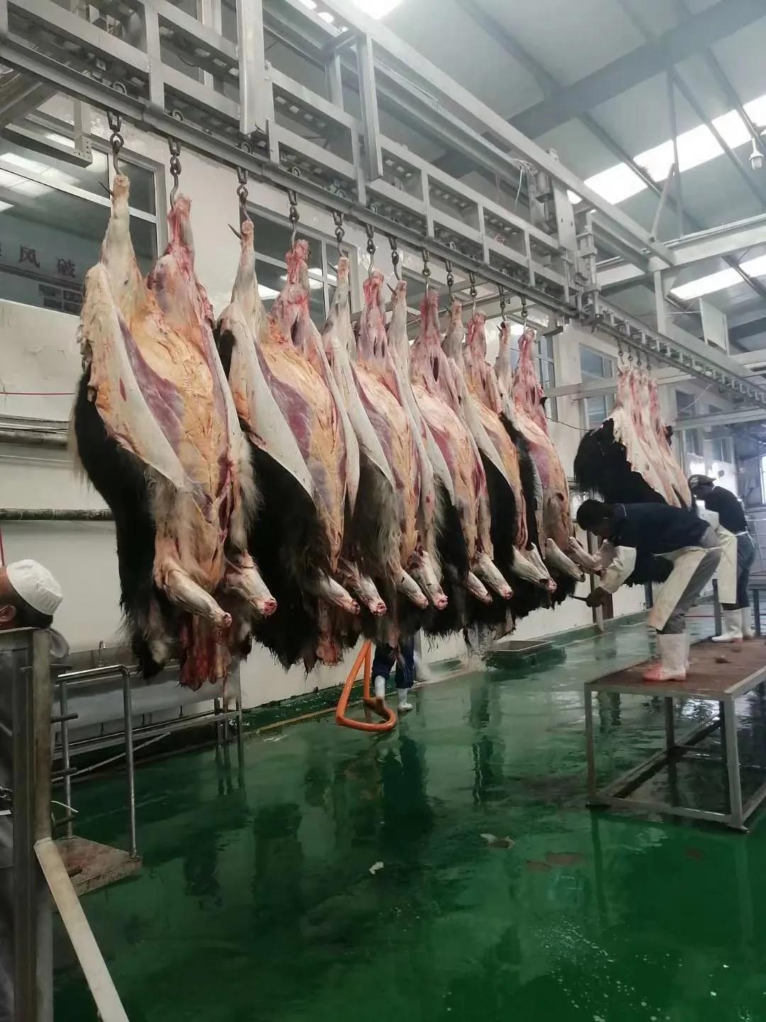 青海祁连亿达畜产肉食品有限公司简介