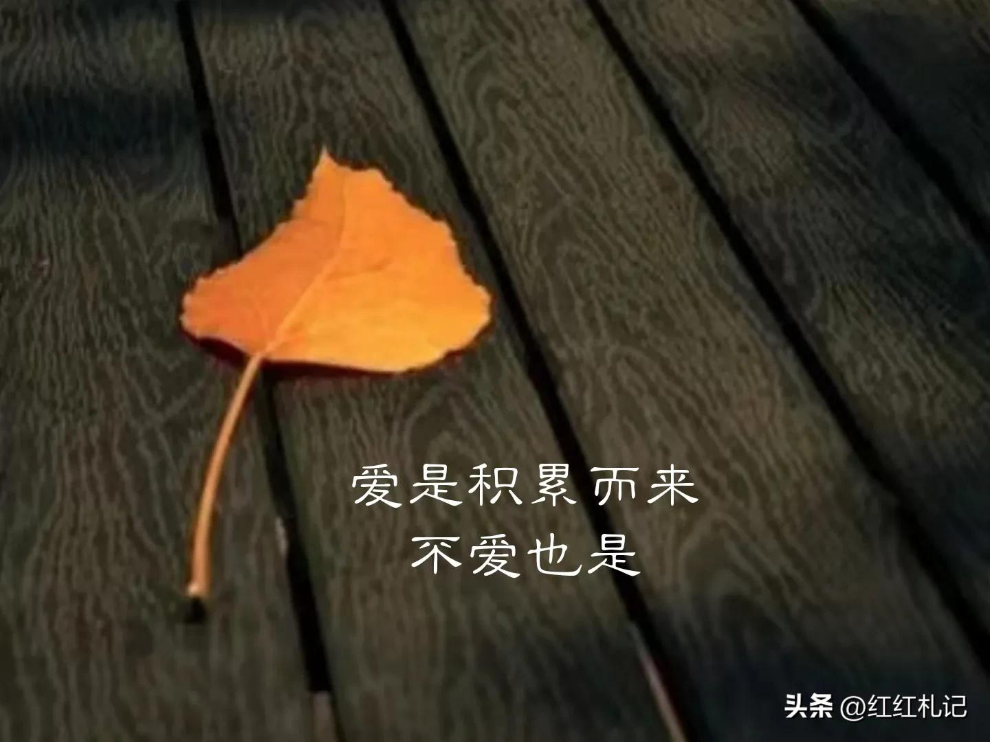生活如此美好，何必自寻烦恼。