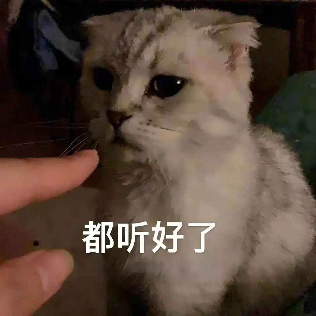 购车票后能否退票？回家行程退票政策详解