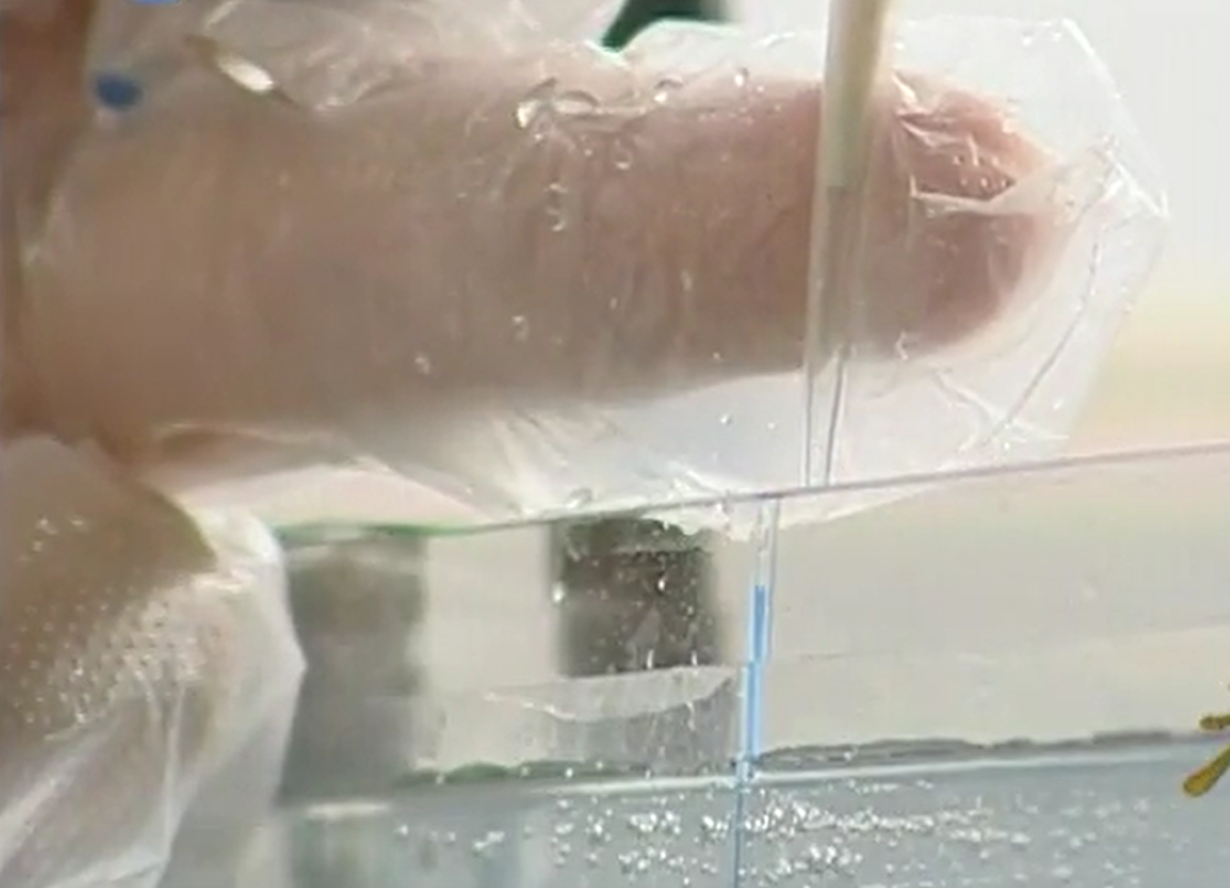 2005年，河南女孩放学喊陌生人爸爸，检查DNA发现是失散多年亲叔