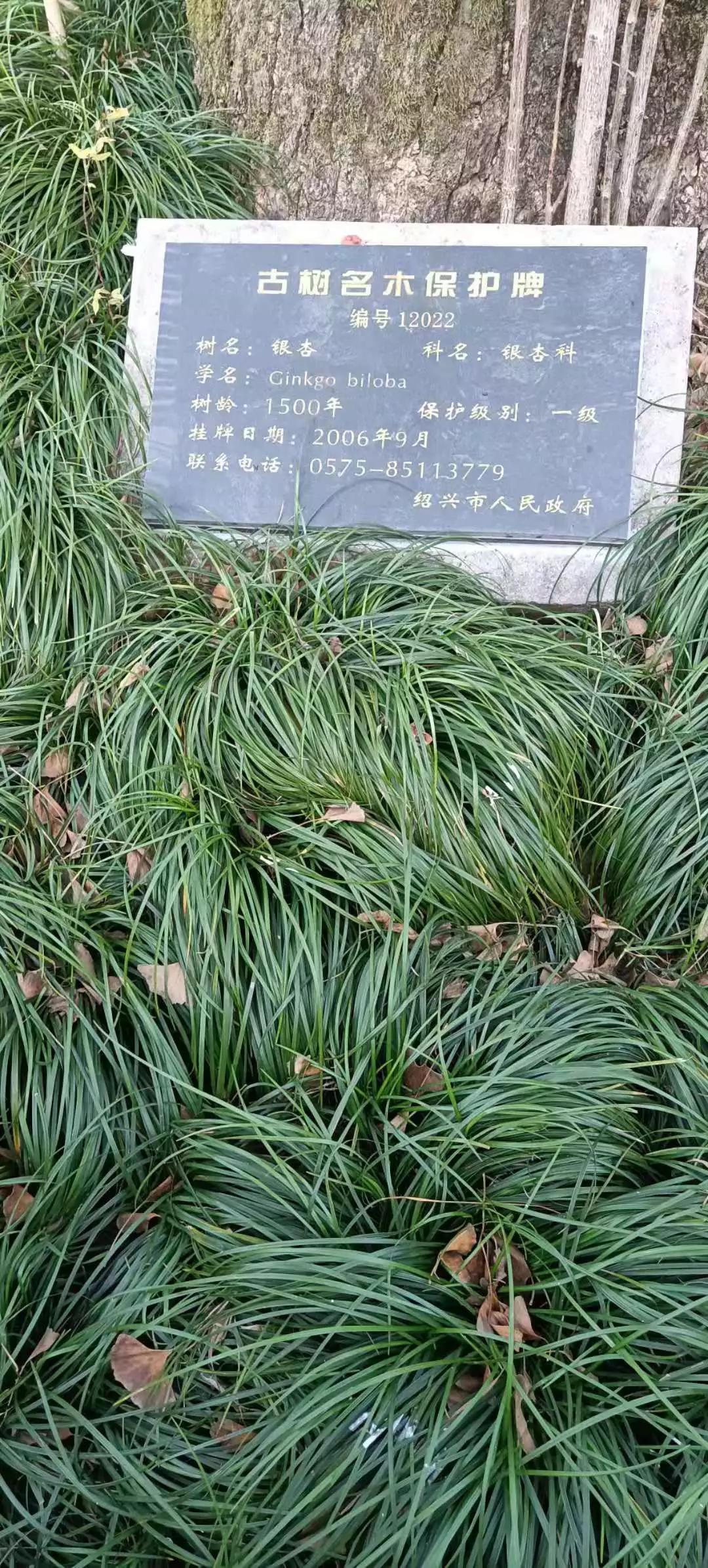 特别的生日礼物（特别的生日礼物作文400字）