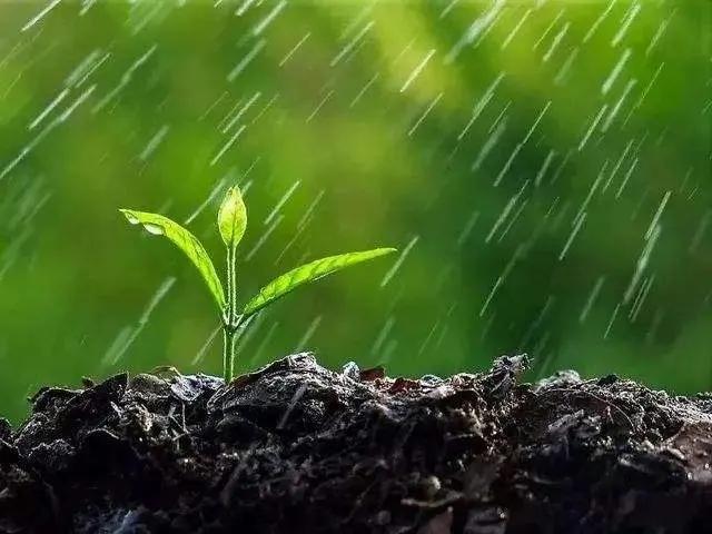 正月十九雨水节气，遇晴天是什么征兆，看看农谚怎么说