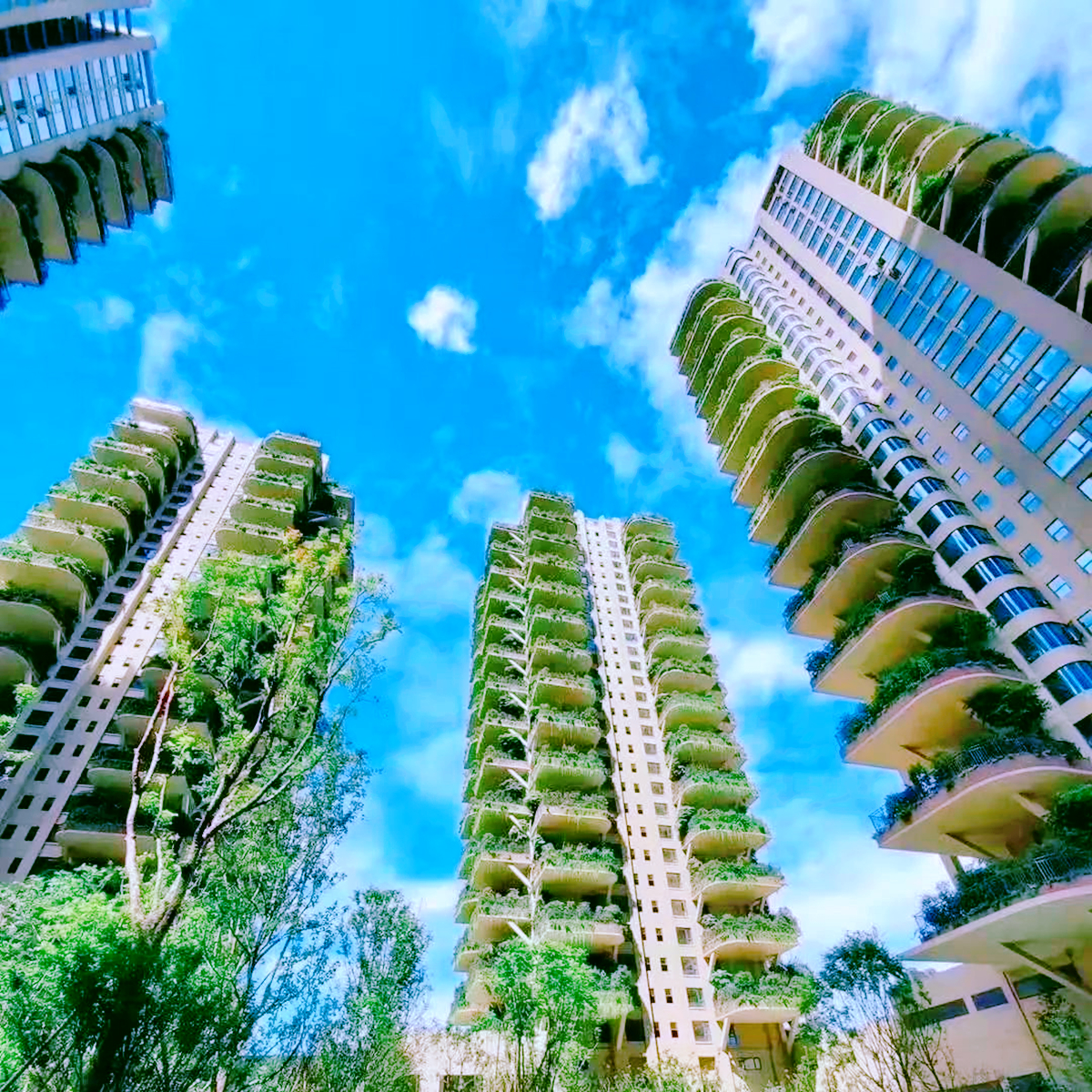 成都“第四代住宅”，每家每户都有“空中花园”，但缺点也很明显