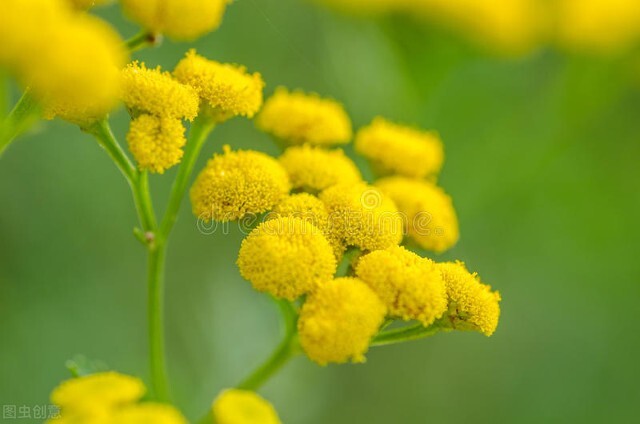 花谢了，花飞满了天空