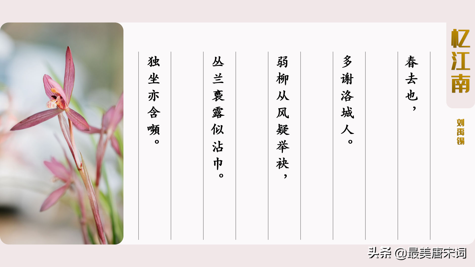 诗词里的春有百花 | 10首词感受10种花（唐五代部分，附深度解读）