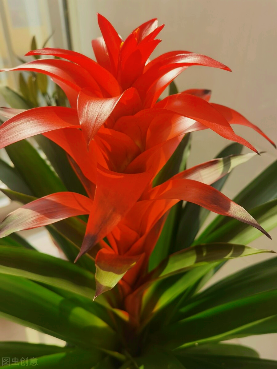 描写时光的梦幻优美句子