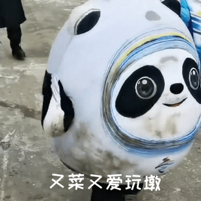 冰墩墩名场面可爱集