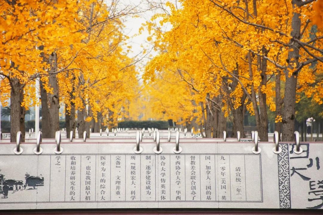 毕业于川大，他打造无数“超级工程”，实现世界第一，屡获科技进步奖！