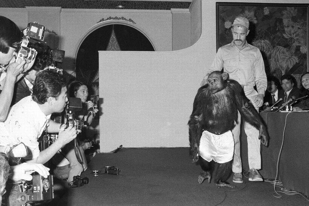 苏联想让人怀上猿猴孩子的实验，不及英国人兽杂交胚胎实验疯狂