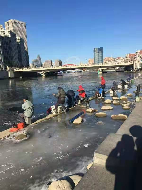 忆秦娥·冬观天津海河