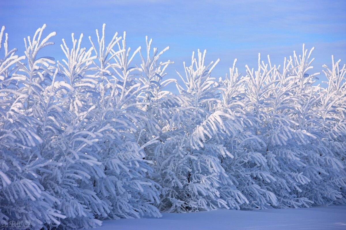 唯美雪韵：十首诗意描绘纷飞冬景