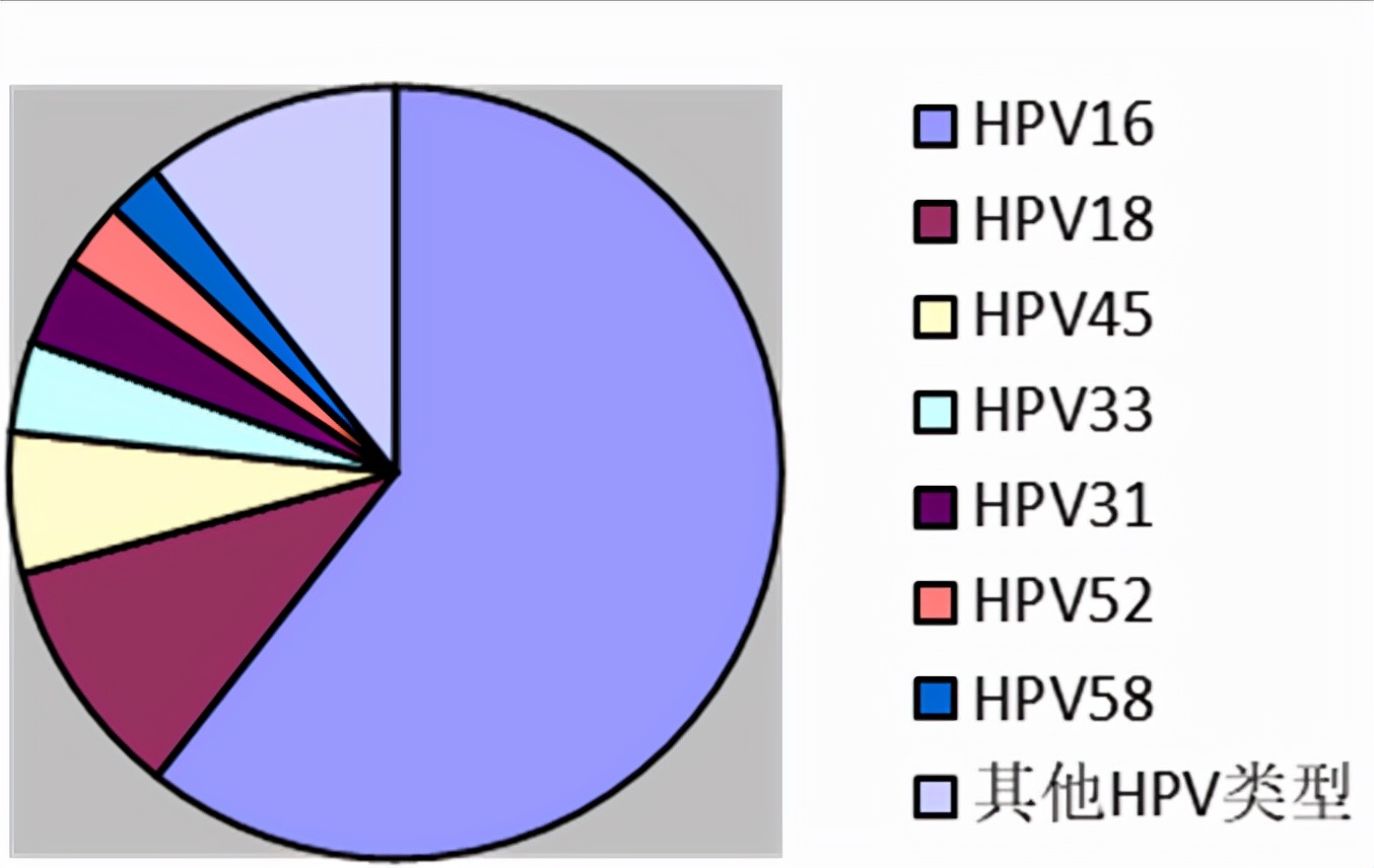 hpv高危和低危的區別是什麼尖銳溼疣能根治嗎