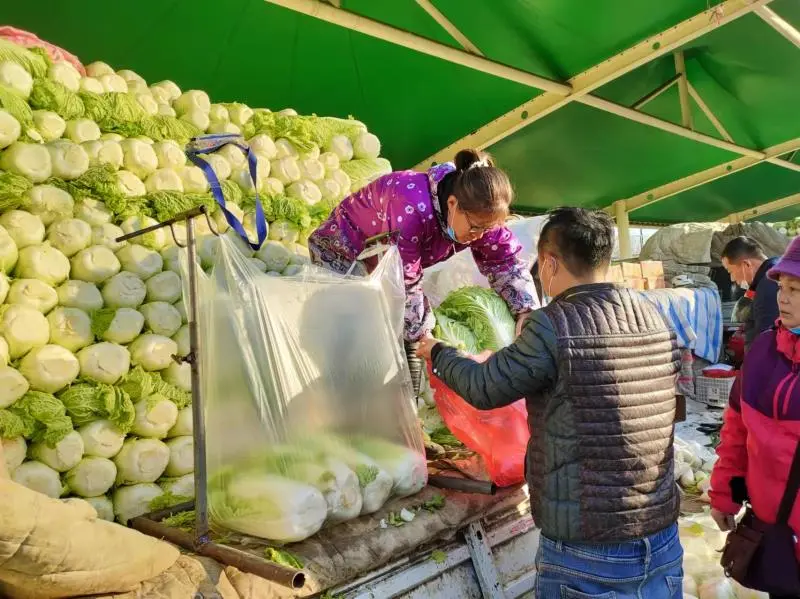 衡水市区大白菜供应充足!价格较去年翻一番