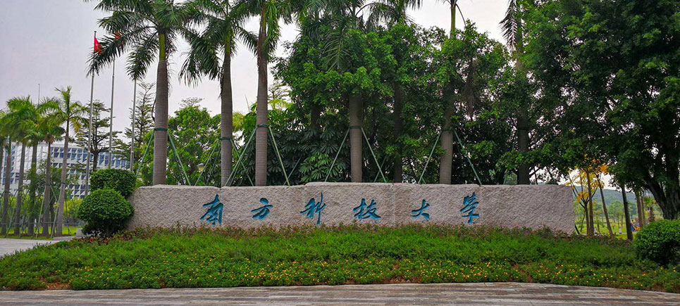 深圳三所本土高校：南方科技大学、深圳大学、深圳技术大学