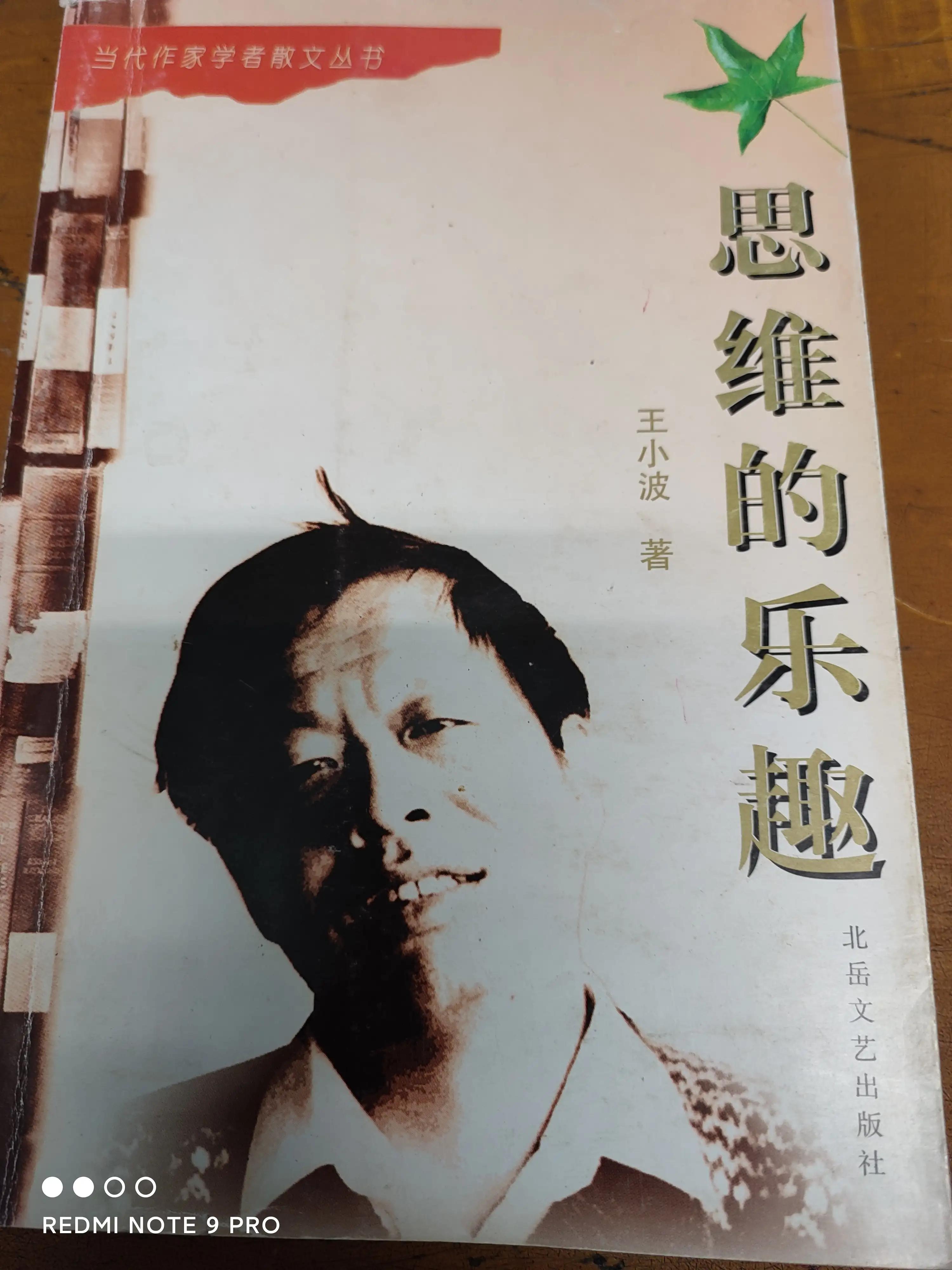 王小波独一杂文集《思想的兴趣》，1997年1月才印出来