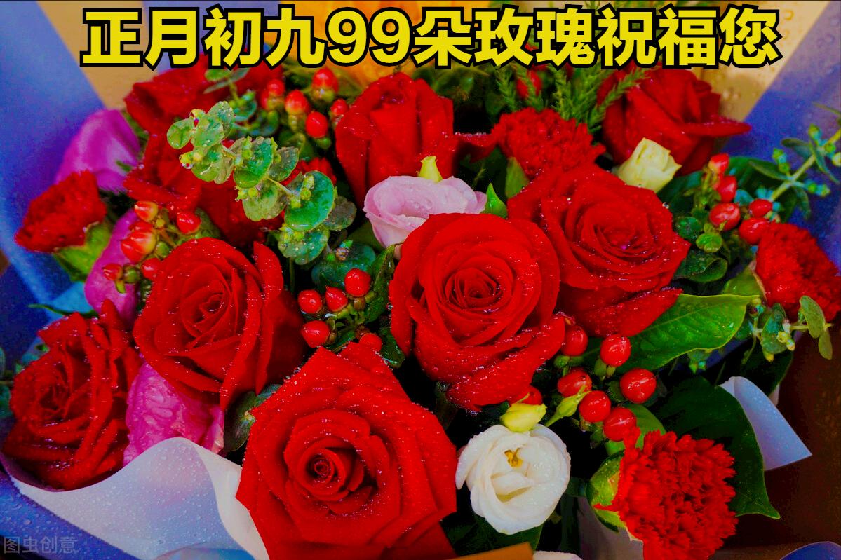 早上好,送给你一首《999朵玫瑰花》,愿您幸福长久!,99朵玫瑰祝福花语