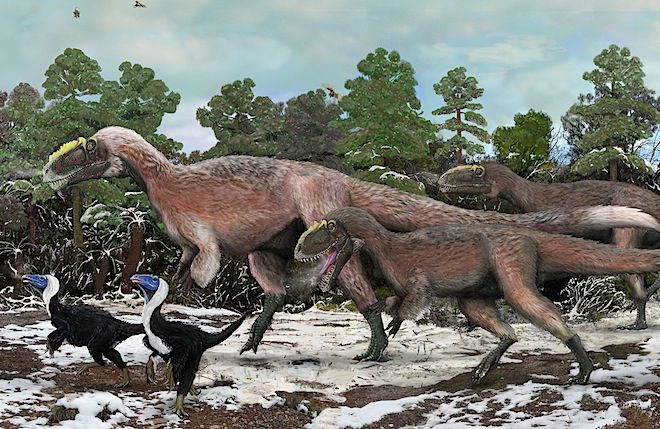 地球常年黑暗寒冷的最北端，曾有一群恐龙繁衍生息