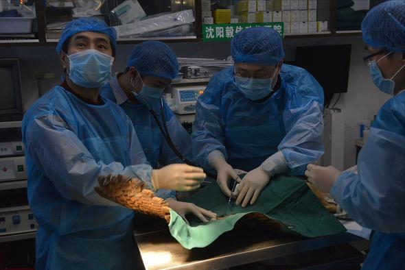 “悔不当初”专业排名，医学荣登榜首，英语仅排第五位