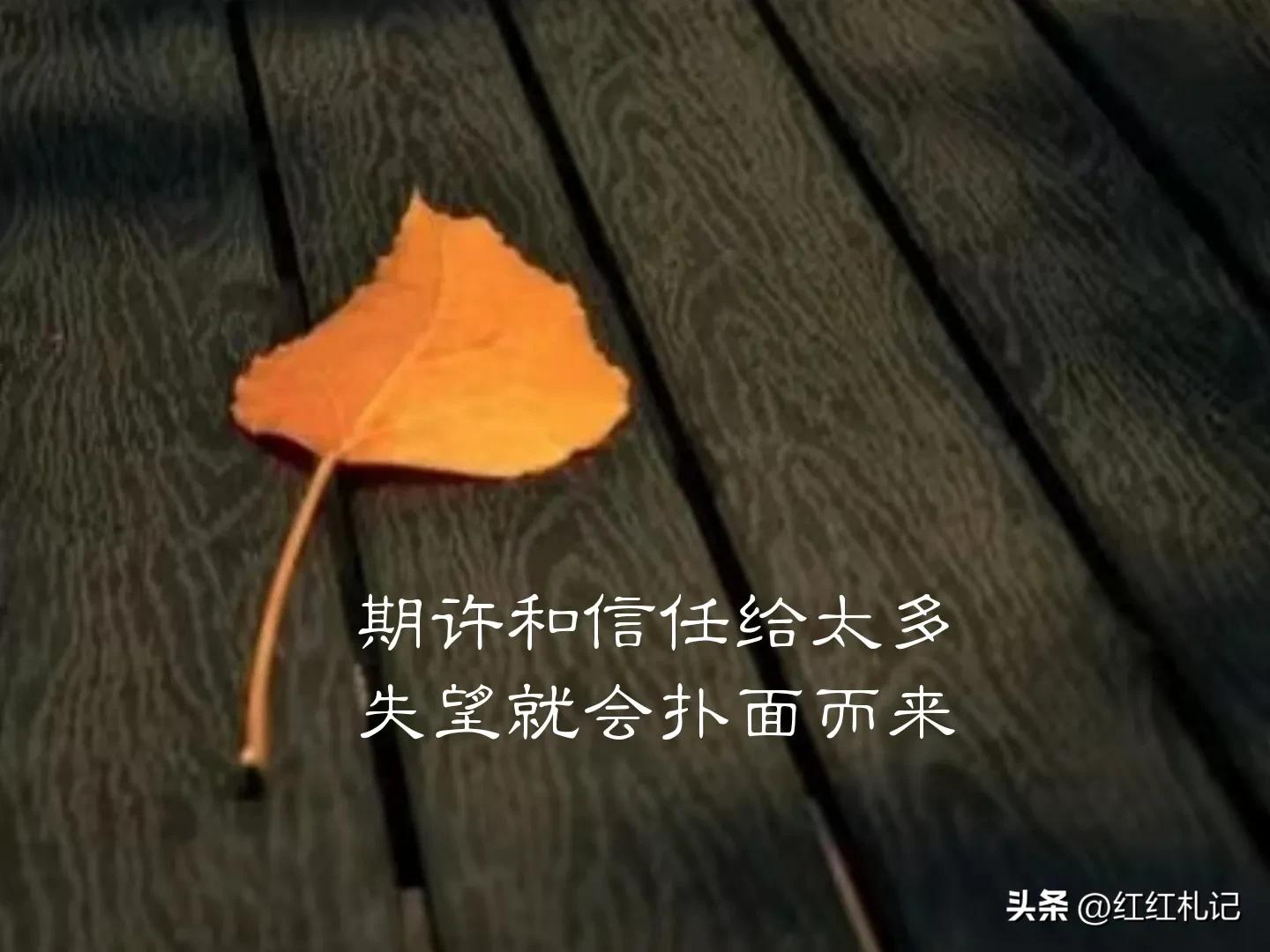 生活如此美好，何必自寻烦恼。
