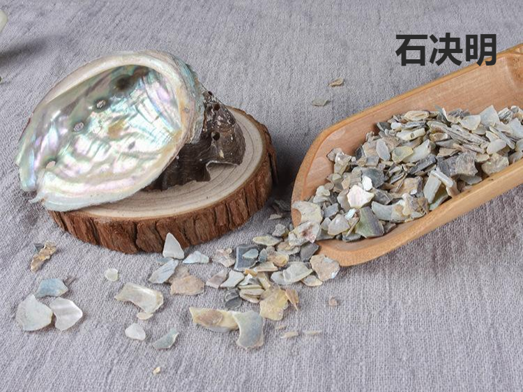 石决明的功效与作用（石决明的产地和主治病证）