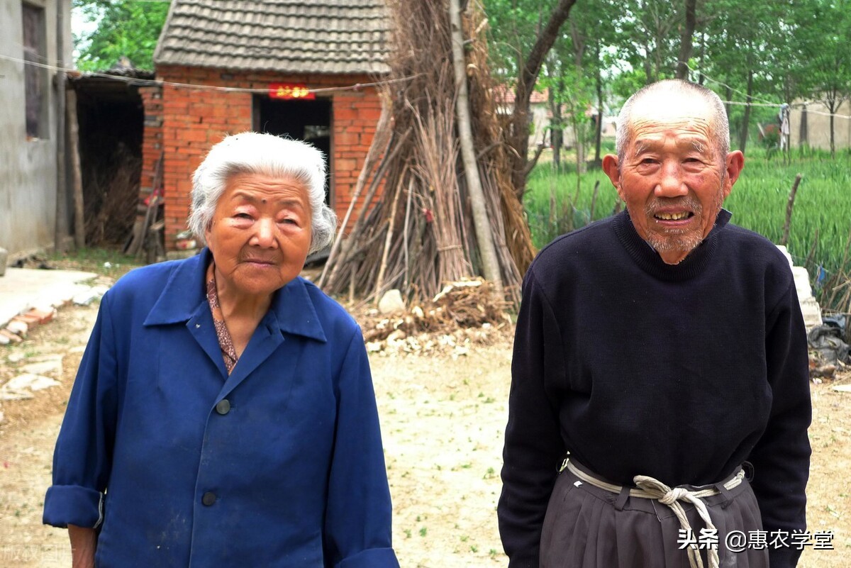 农村老人80岁高龄补贴每月能领取多少？2022年保险政策解读