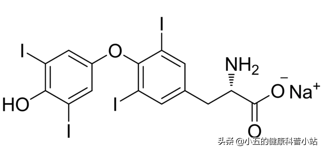 优甲乐是治疗甲状腺功能减退的要药，科学服用注意5点