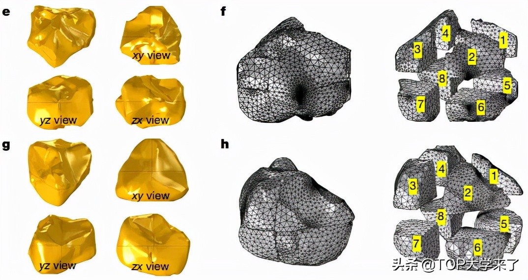重大突破！江南大学建校以来首次以第一单位发《Nature》