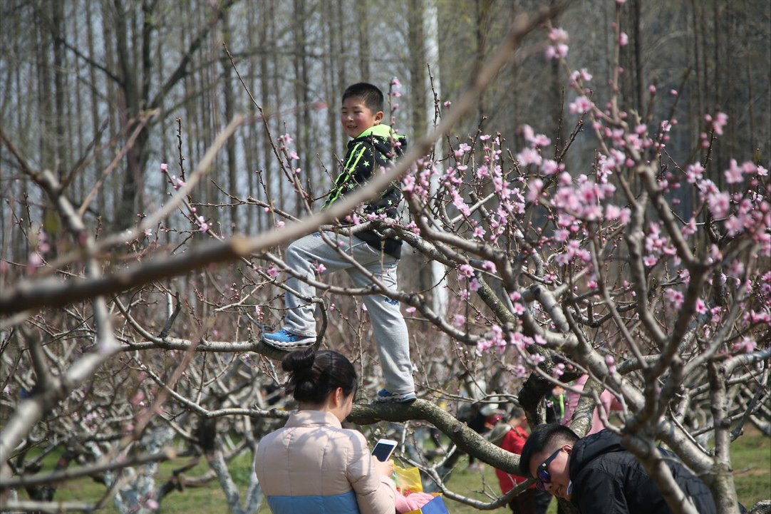 正月初七“人日节”，牢记“3吃3做3忌”，人寿年丰，祈祥祝安