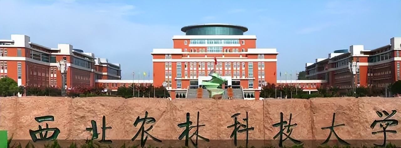 这所211大学“太心酸”，学生毕业可“包分配”，可还是无人问津