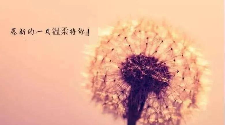 祝福的句子唯美简短八个字(20个唯美祝福句子文案)