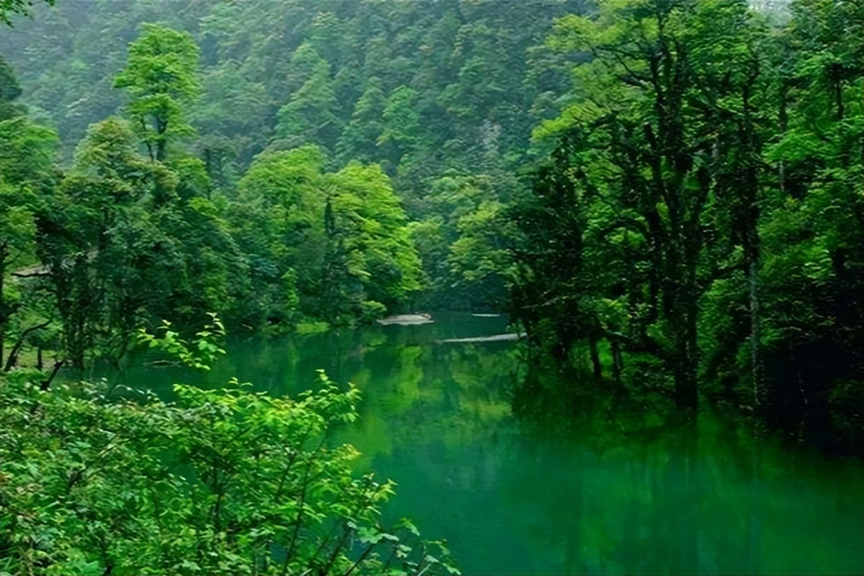 四川有个国家公园，它被誉为“天然氧吧”