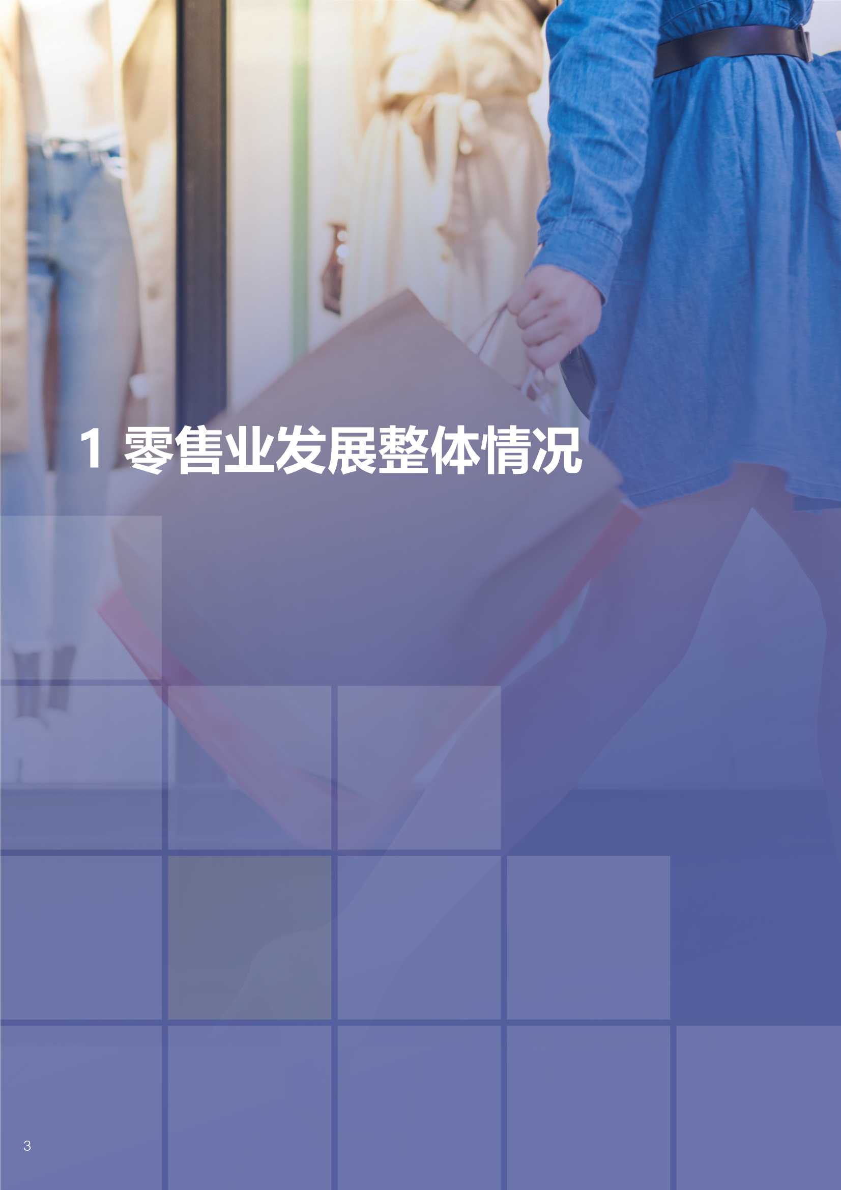 「中国百货商业协会」2021-2022中国百货零售业发展报告