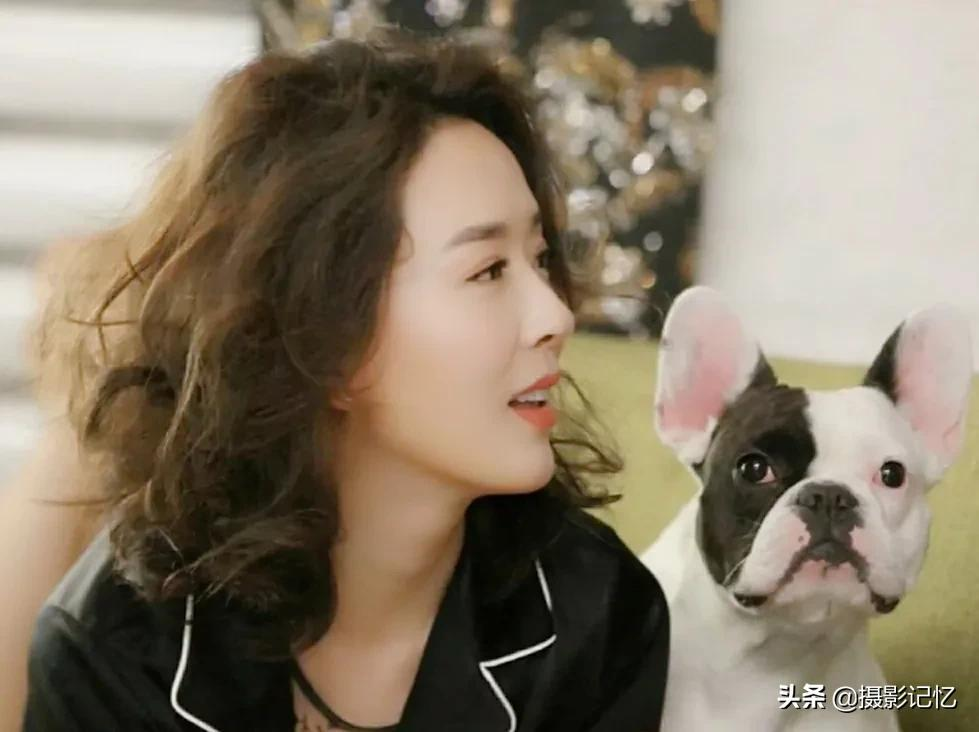 颜丹晨：丹晨与狗狗