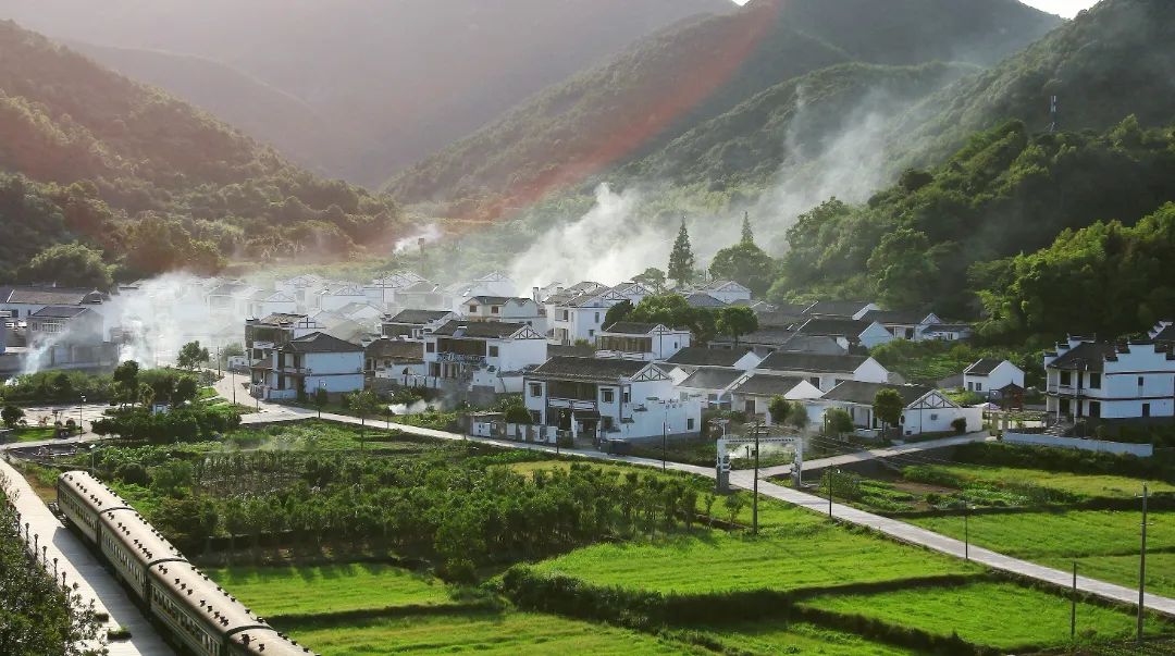 芳菲四月，花“漾”舟山，这份全岛赏花攻略 踏春路线请收好~