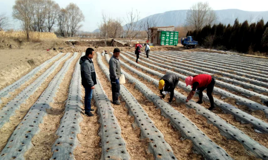 西固区拉开春耕备耕大幕