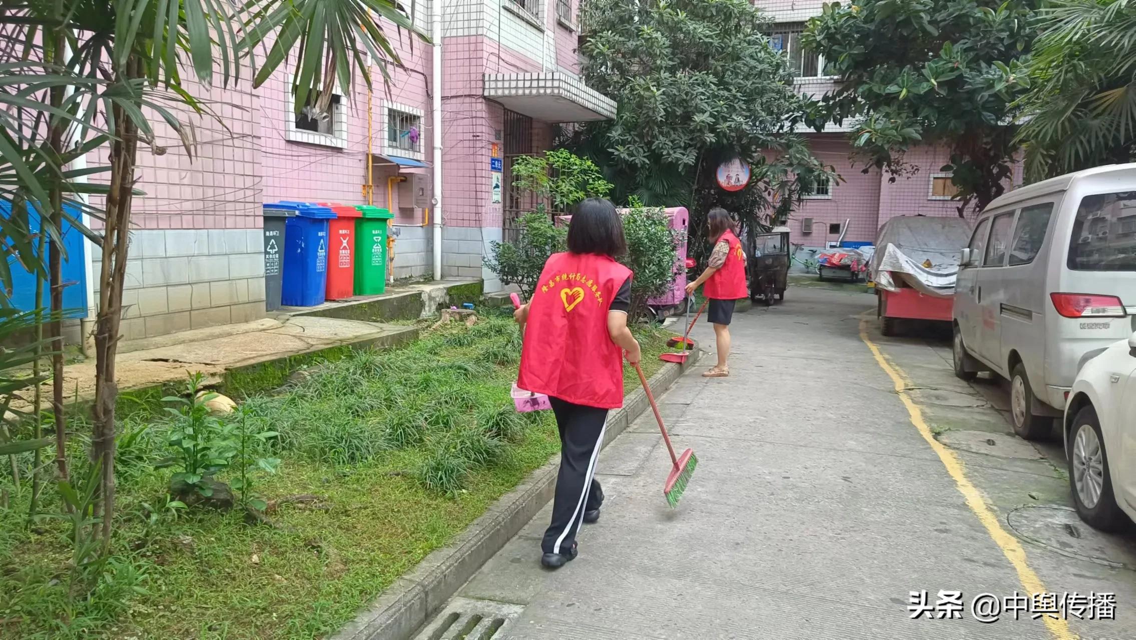 隆昌市统计局积极开展志愿者服务活动