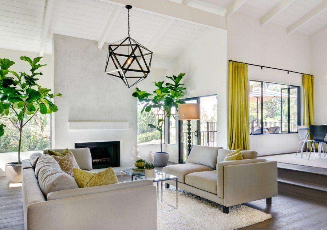 7种“洋气花”，好养又高雅，客厅一放，干净大气，旺家好运来