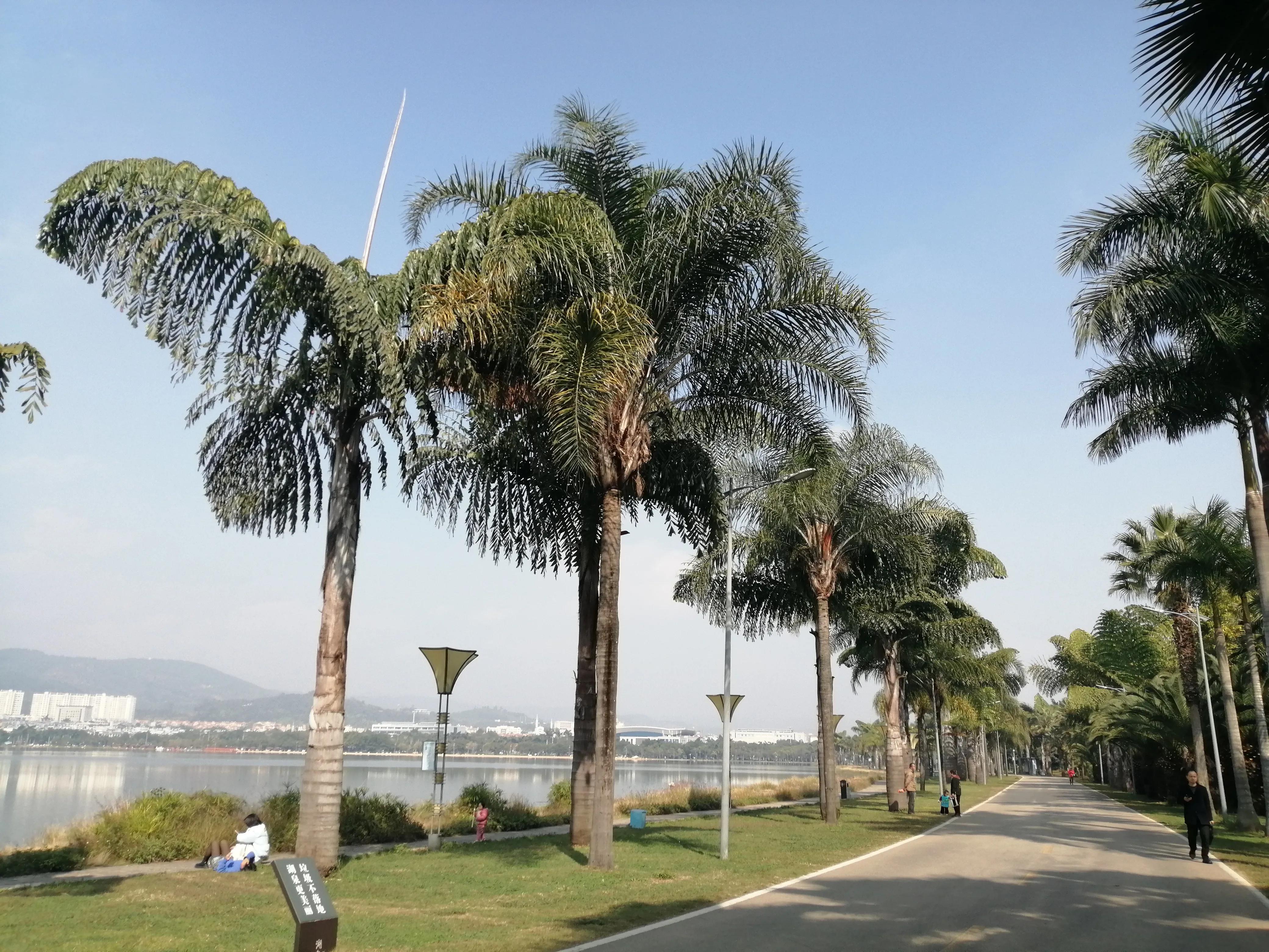 2021年的云南旅行旅居总结